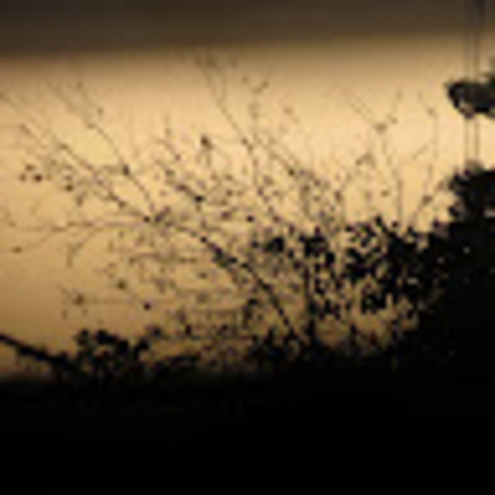 Meet your Posher, Doraly